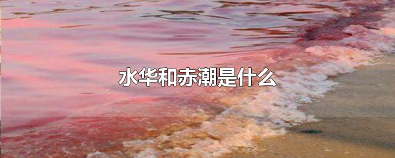 水华和赤潮是什么