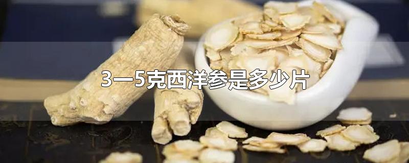 3一5克西洋参是多少片