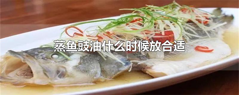 蒸鱼豉油什么时候放合适