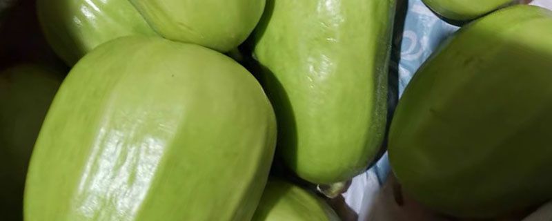 拂手黄瓜要削皮吗