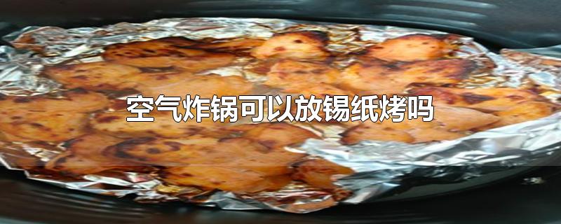 空气炸锅可以放锡纸烤吗