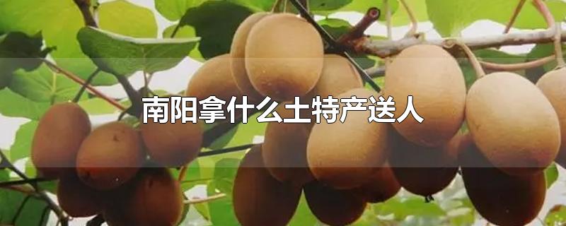 南阳拿什么土特产送人