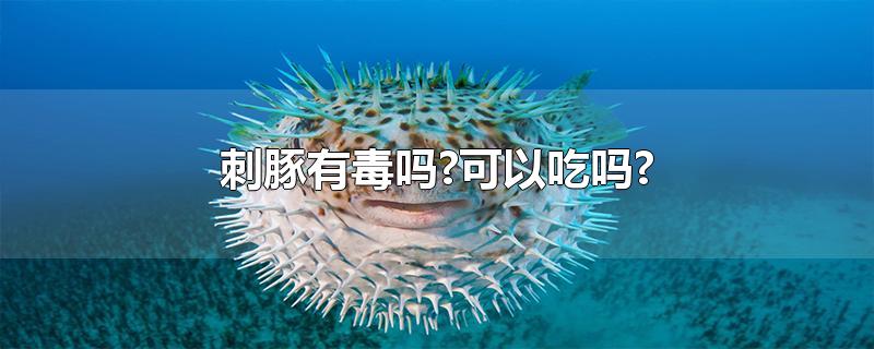 刺豚有毒吗?可以吃吗?