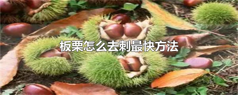 板栗怎么去刺最快方法