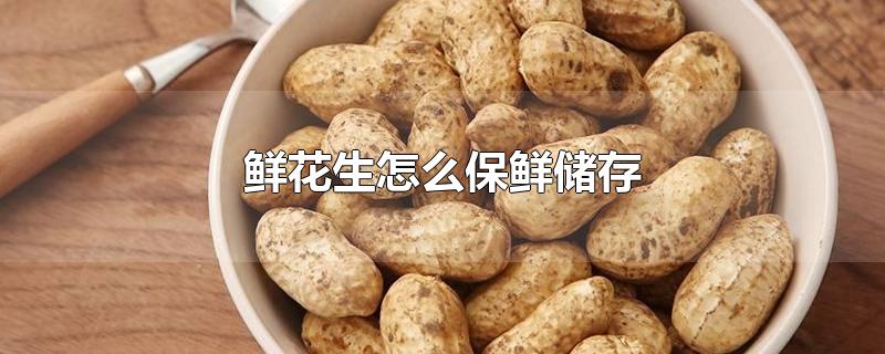 鲜花生怎么保鲜储存