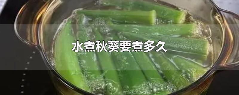 水煮秋葵要煮多久