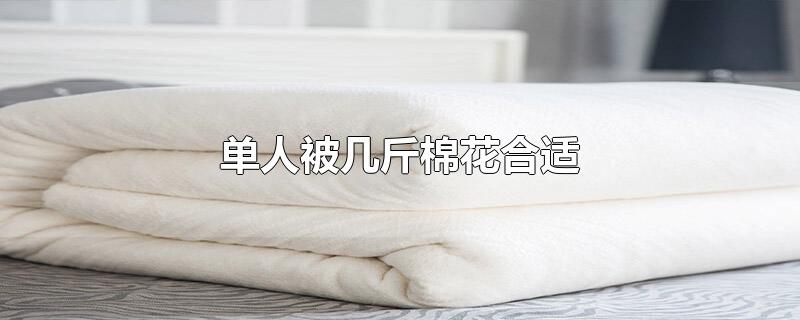 单人被几斤棉花合适