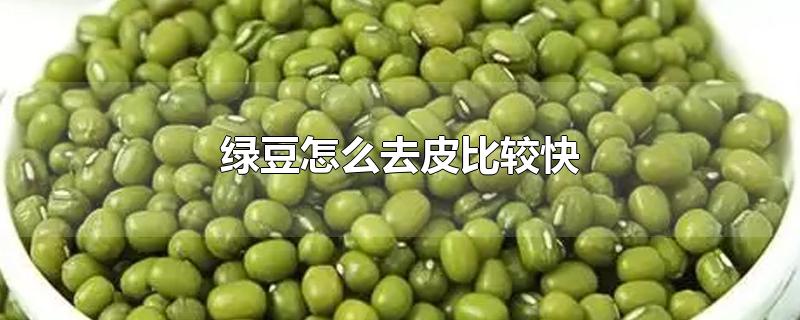 绿豆怎么去皮比较快