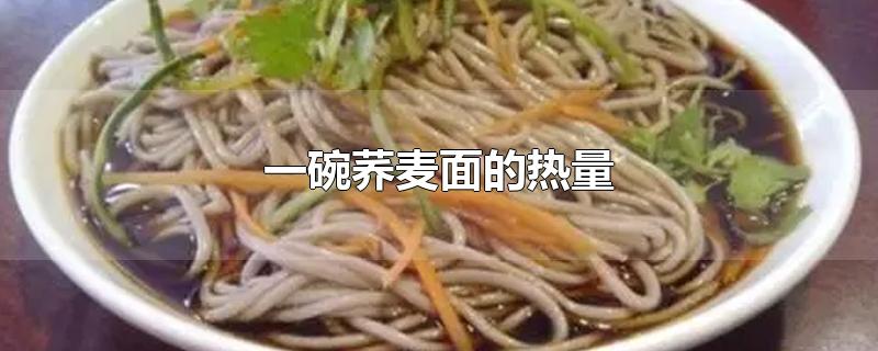 一碗荞麦面的热量