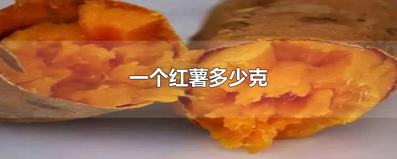 一个红薯多少克