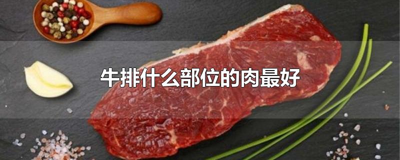 牛排什么部位的肉最好
