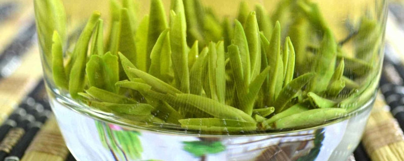 竹叶青是什么茶