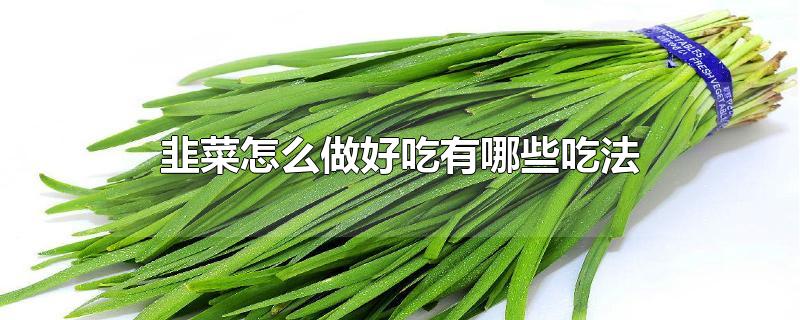 韭菜怎么做好吃有哪些吃法