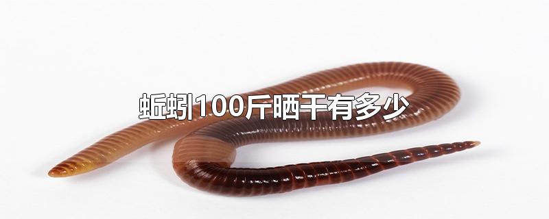 蚯蚓100斤晒干有多少