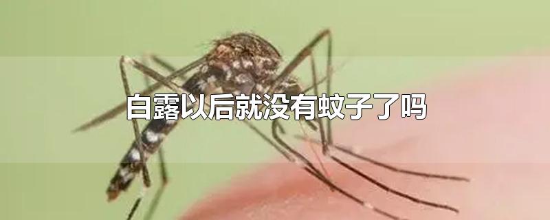 白露以后就没有蚊子了吗