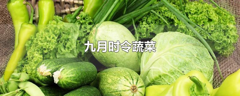 九月时令蔬菜