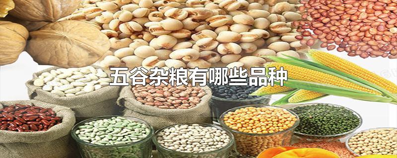 五谷杂粮有哪些品种