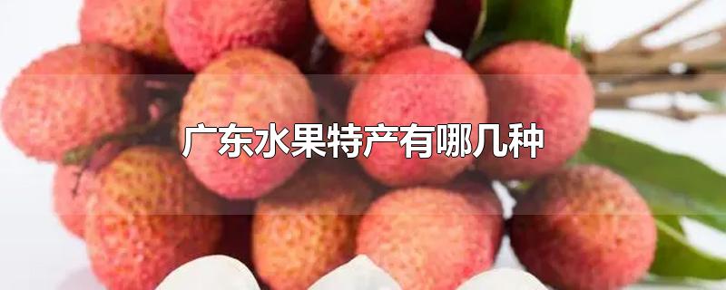 广东水果特产有哪几种