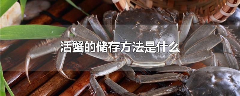 活蟹的储存方法是什么