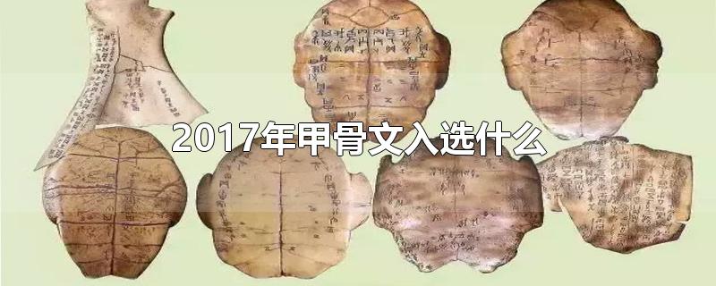 2017年甲骨文入选什么
