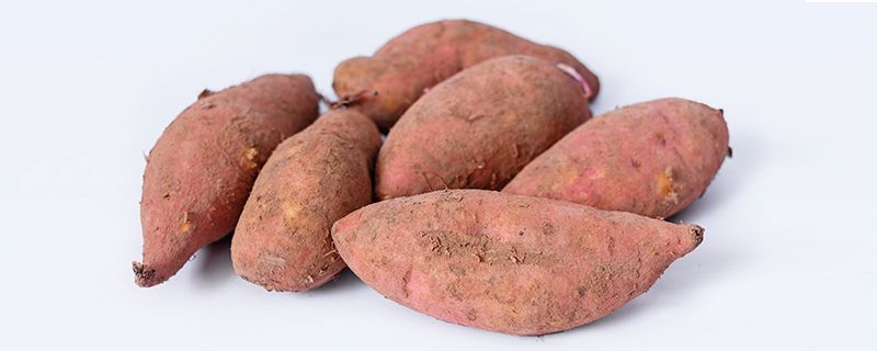 减肥能吃红薯吗吃红薯会发胖吗