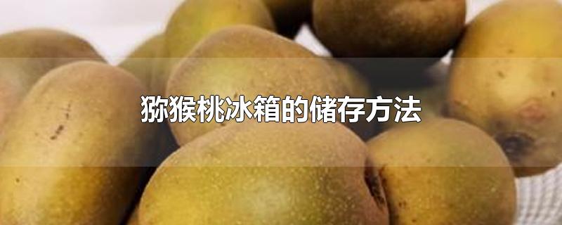 猕猴桃冰箱的储存方法