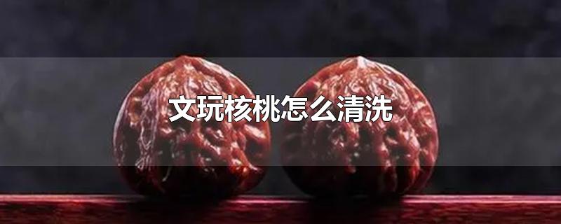 文玩核桃怎么清洗