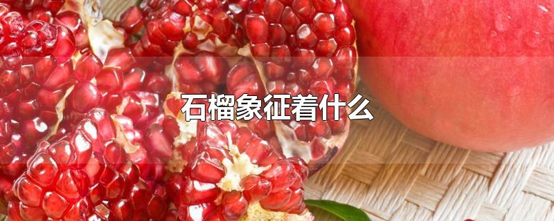 石榴象征着什么