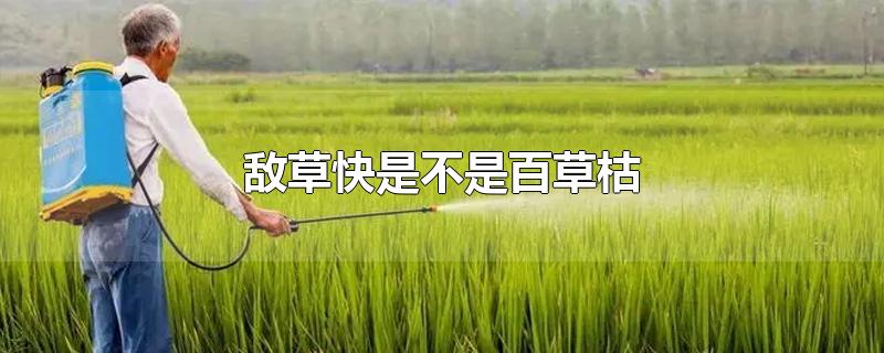 敌草快是不是百草枯
