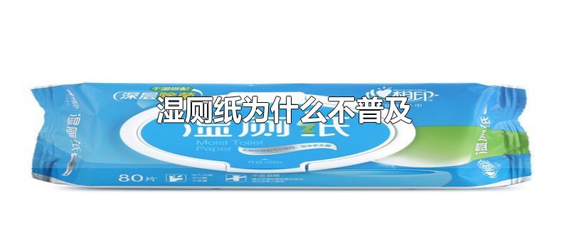 湿厕纸为什么不普及
