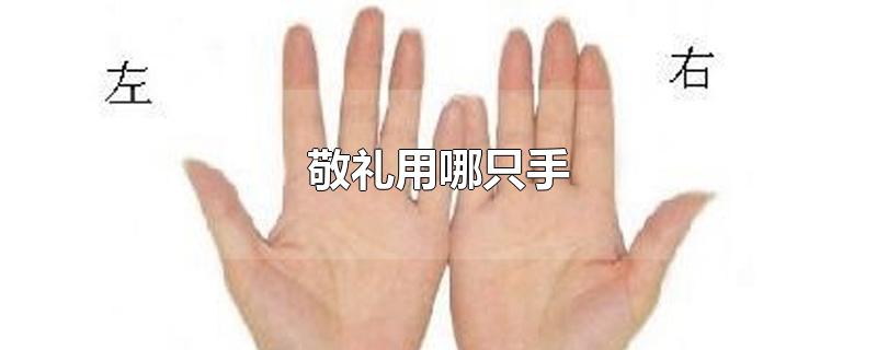 敬礼用哪只手