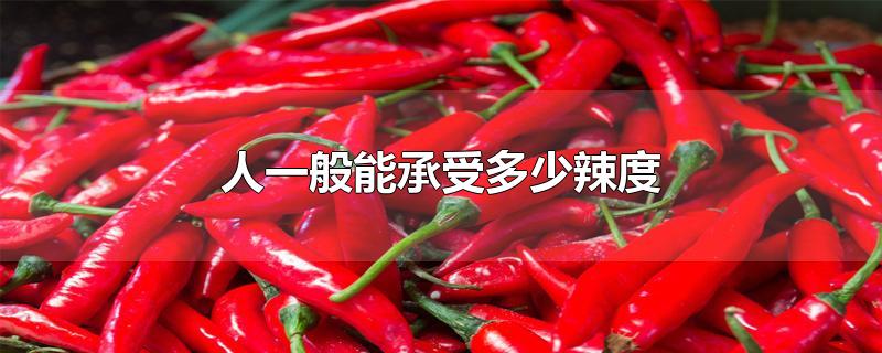 人一般能承受多少辣度