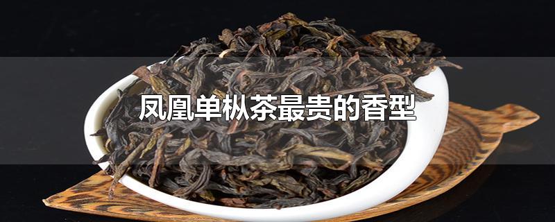 凤凰单枞茶最贵的香型