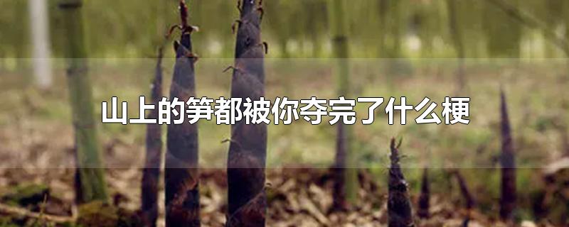 山上的笋都被你夺完了什么梗