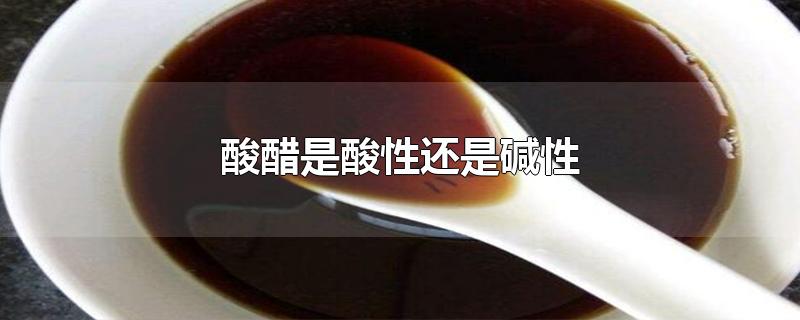 酸醋是酸性还是碱性