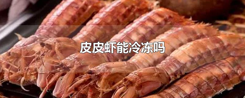 皮皮虾能冷冻吗