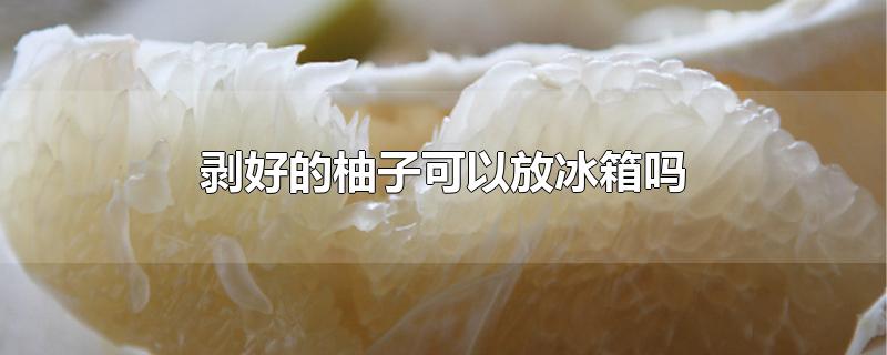 剥好的柚子可以放冰箱吗
