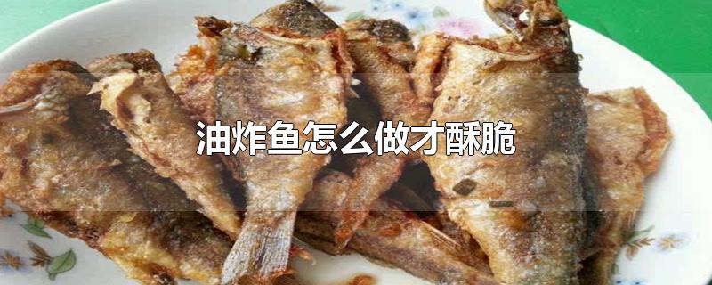 油炸鱼怎么做才酥脆