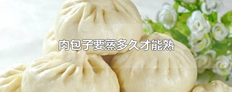 肉包子要蒸多久才能熟
