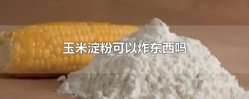 玉米淀粉可以炸东西吗