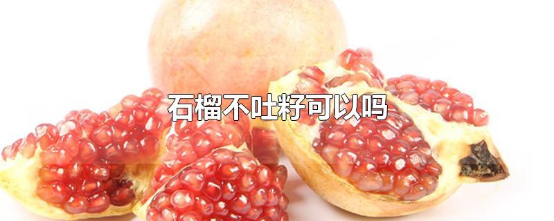 石榴不吐籽可以吗