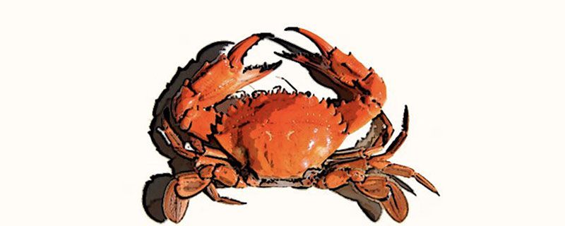 面包蟹和帝王蟹那里有肉