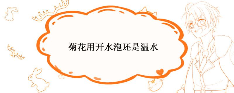 菊花用开水泡还是温水