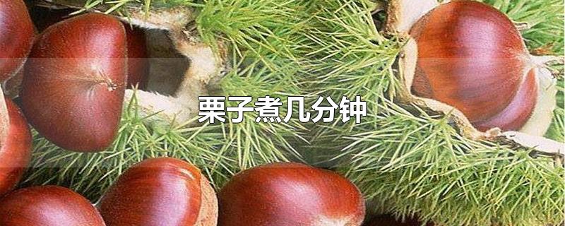 栗子煮几分钟