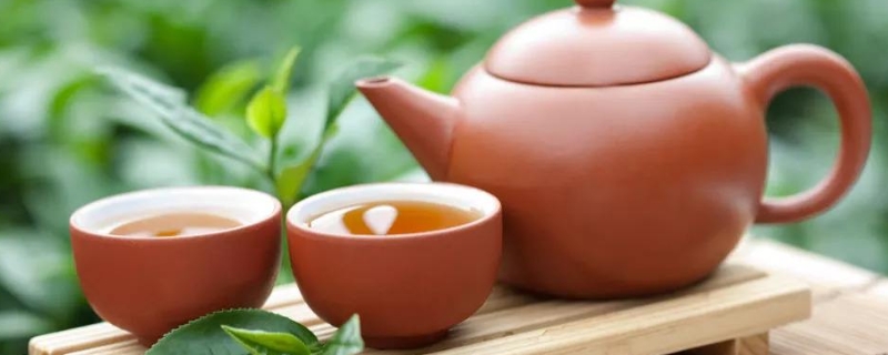 茶叶都是什么时候采的