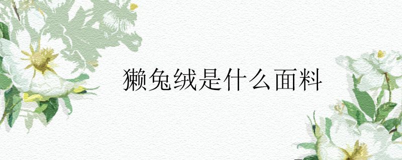 獭兔绒是什么面料
