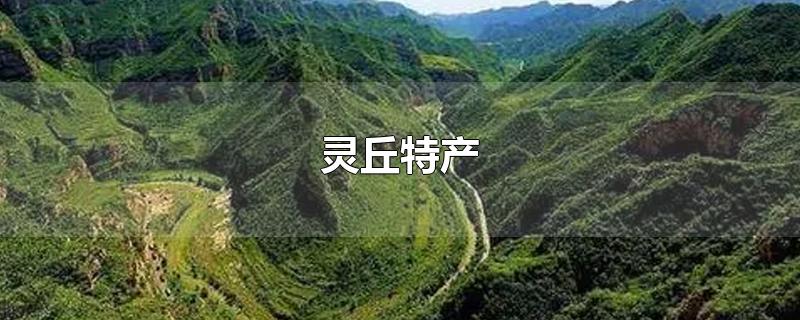 灵丘特产