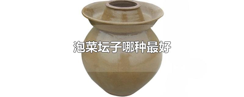 泡菜坛子哪种最好
