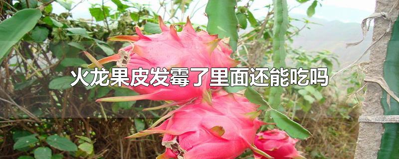 火龙果皮发霉了里面还能吃吗