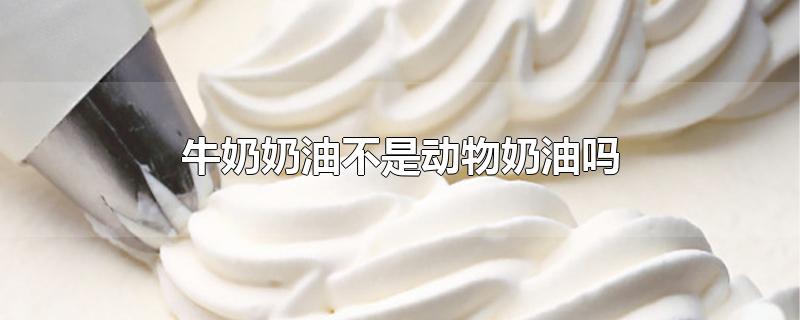 牛奶奶油不是动物奶油吗